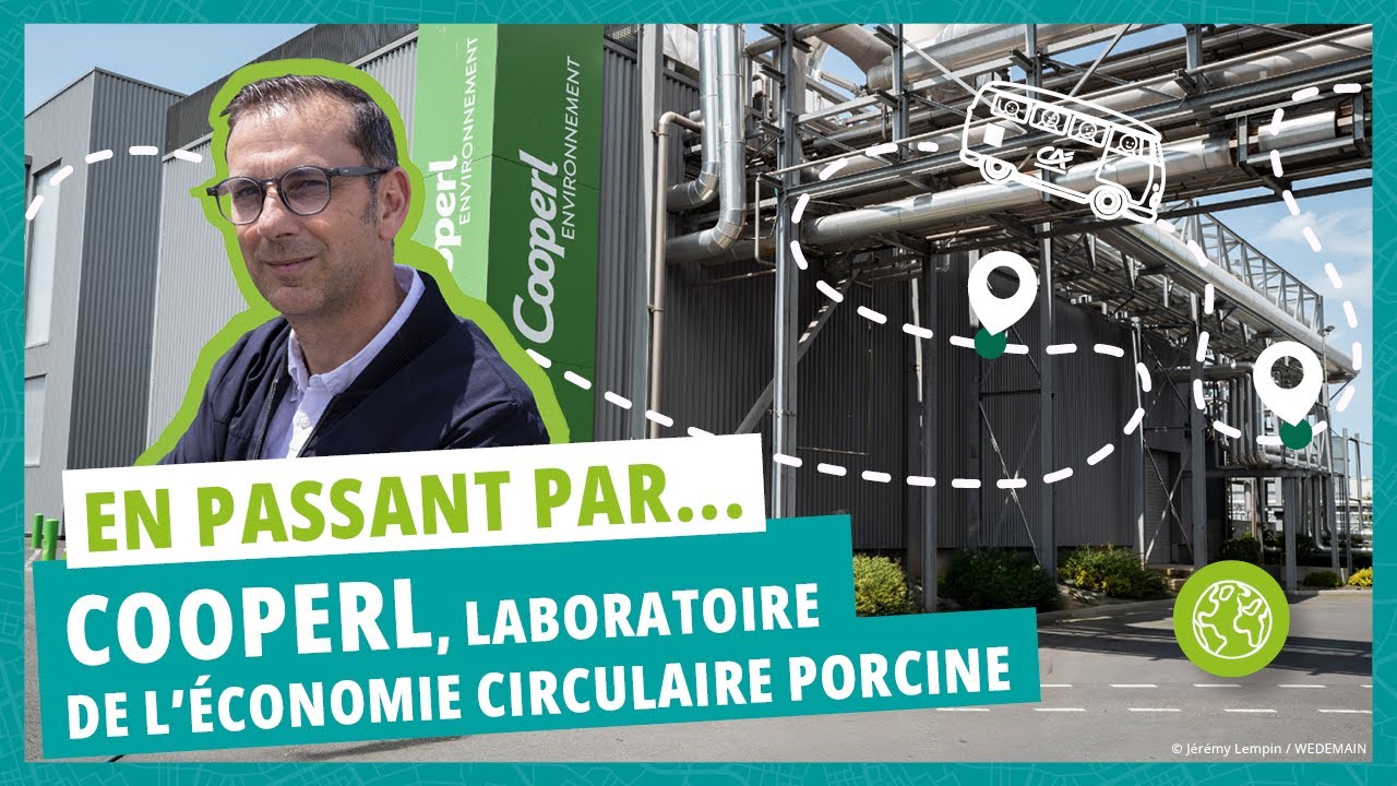 Cooperl, laboratoire d’économie circulaire porcine