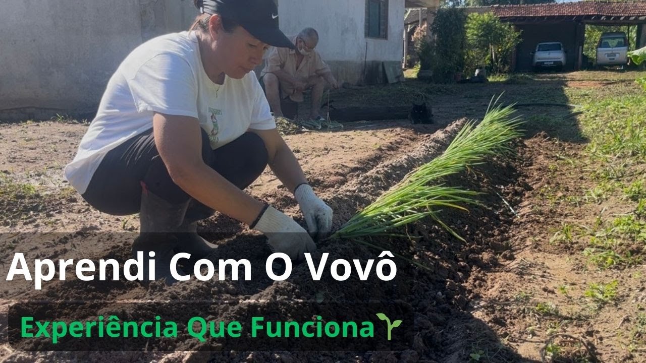 Aprendendo com o Vovô: O Jeito Certo de Replantar Cebolinha🌱#organicgarden,#hortasustentavel