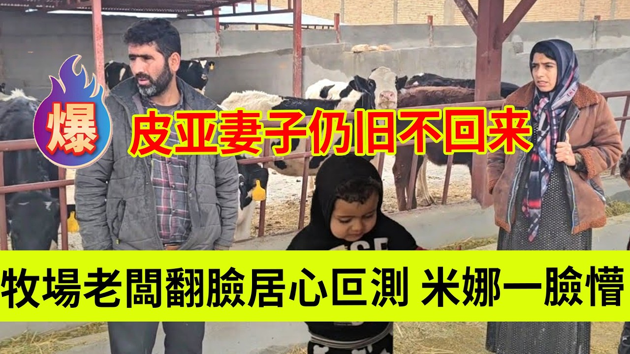 牧场老板居心叵测，想让人住在米娜家，想吞并农场？米娜一脸懵。皮亚妻子仍旧没有回来。伊朗女人米娜纪录片最新后续