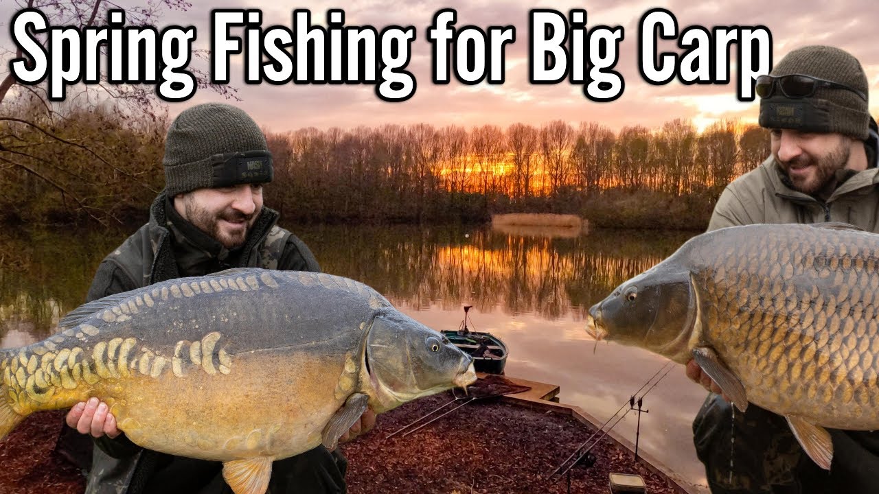 Springtime Carping for Big Fish - Nash Angler Fishing at Korda Lake!