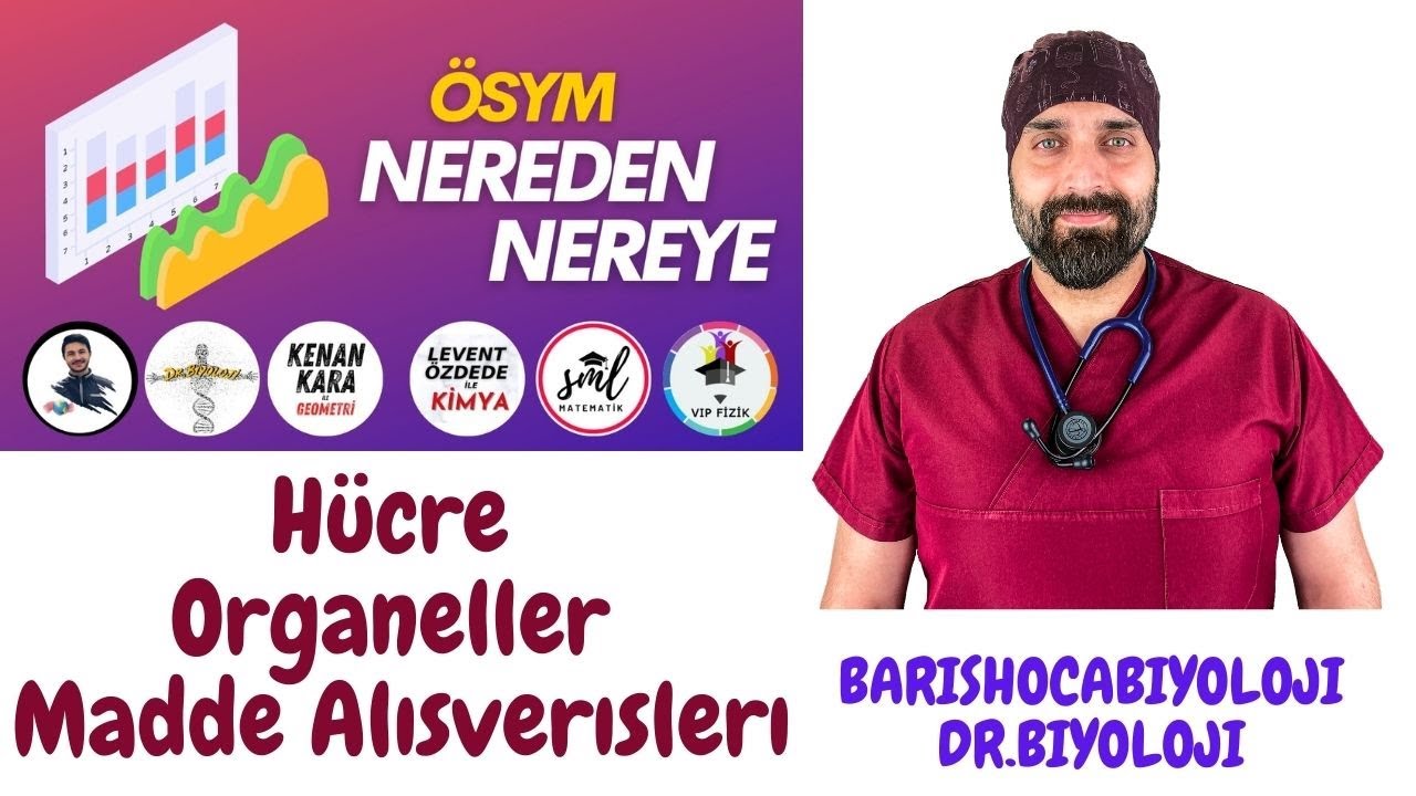 ÖSYM NEREDEN NEREYE-2 /12 YILIN TARAMASI VE SORU ÇÖZÜMÜ
