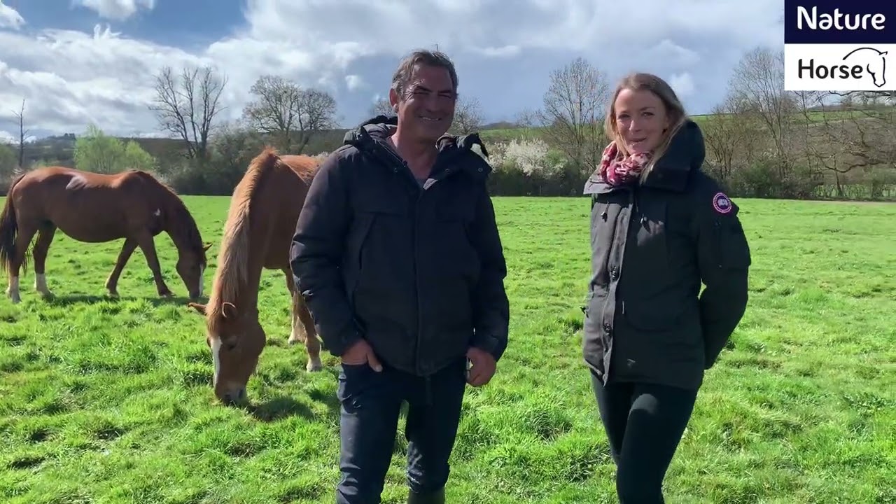 L'inter'vous : élevage Merzé et sport étude équitation team merzé compétition - by Naturehorse
