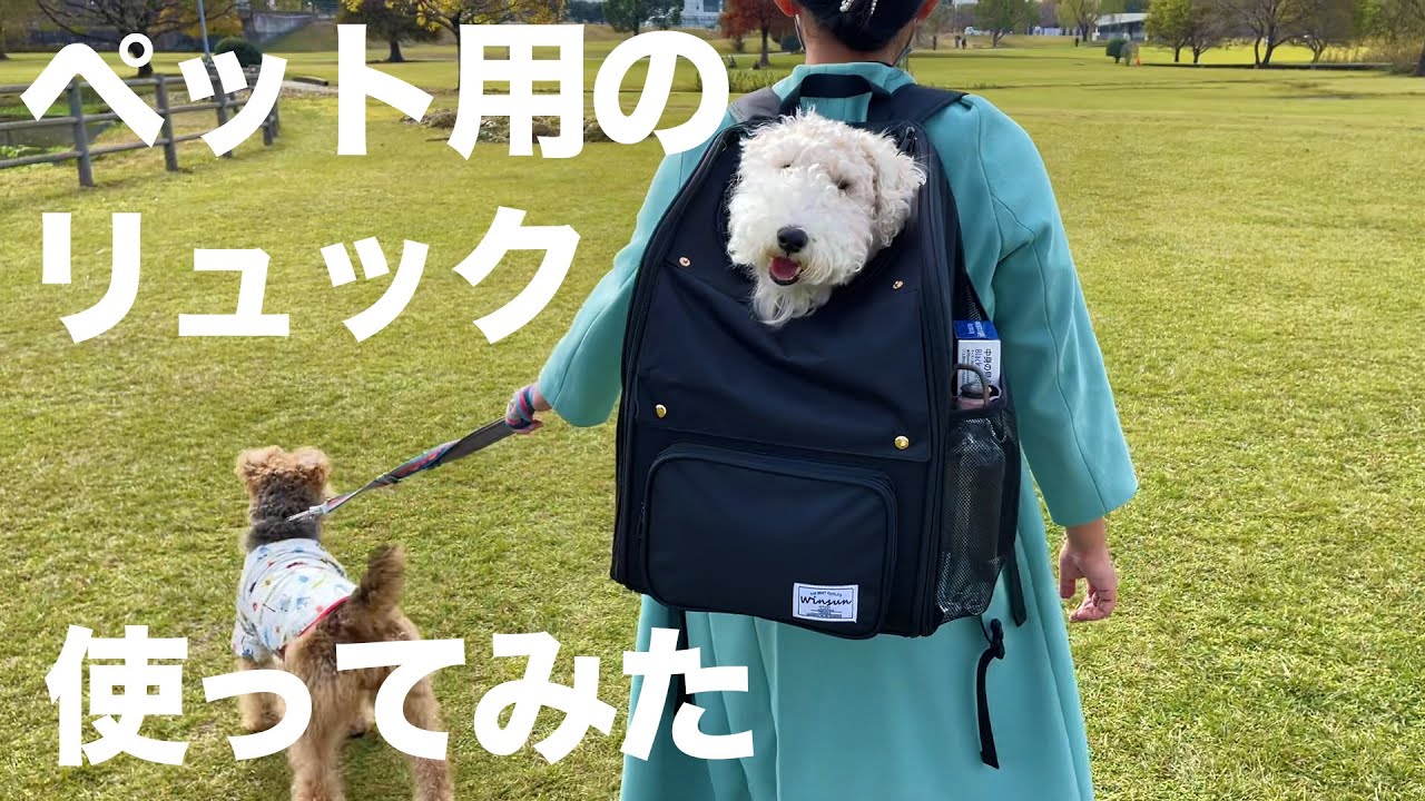 WINSUNのペットリュックを使ってみたのでレビューするよ