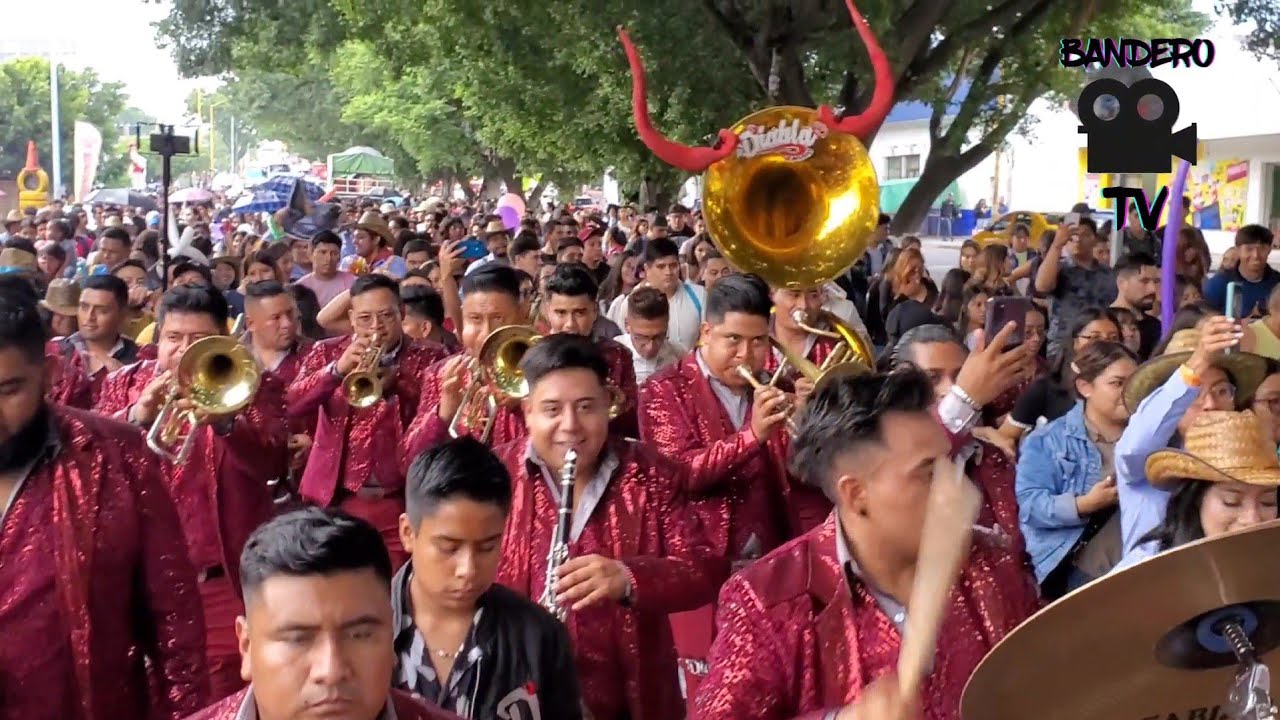 EL BURRO LOCO🐴 BANDA LA DIABLA!!!😈 2023
