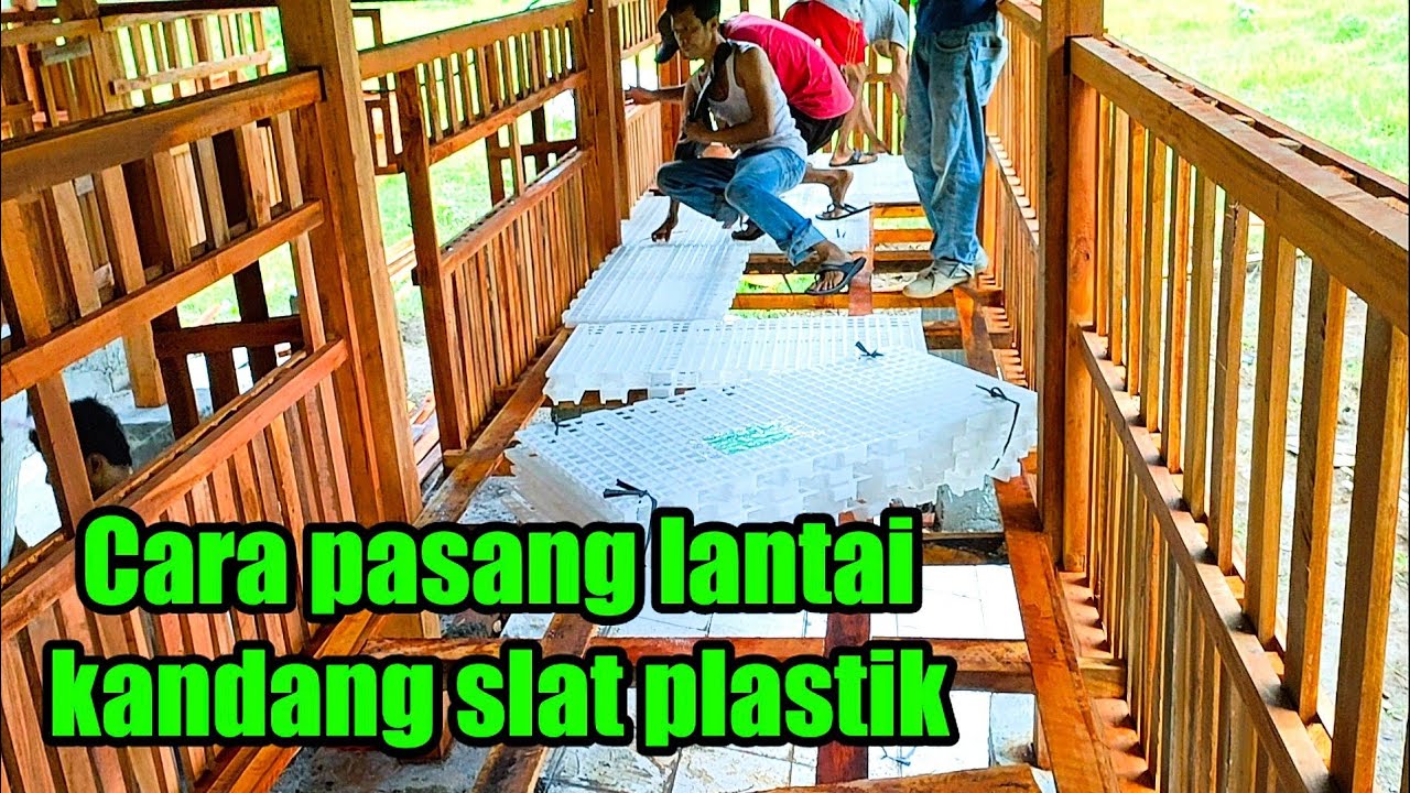 Proses cara memasang lantai kandang slat plastik