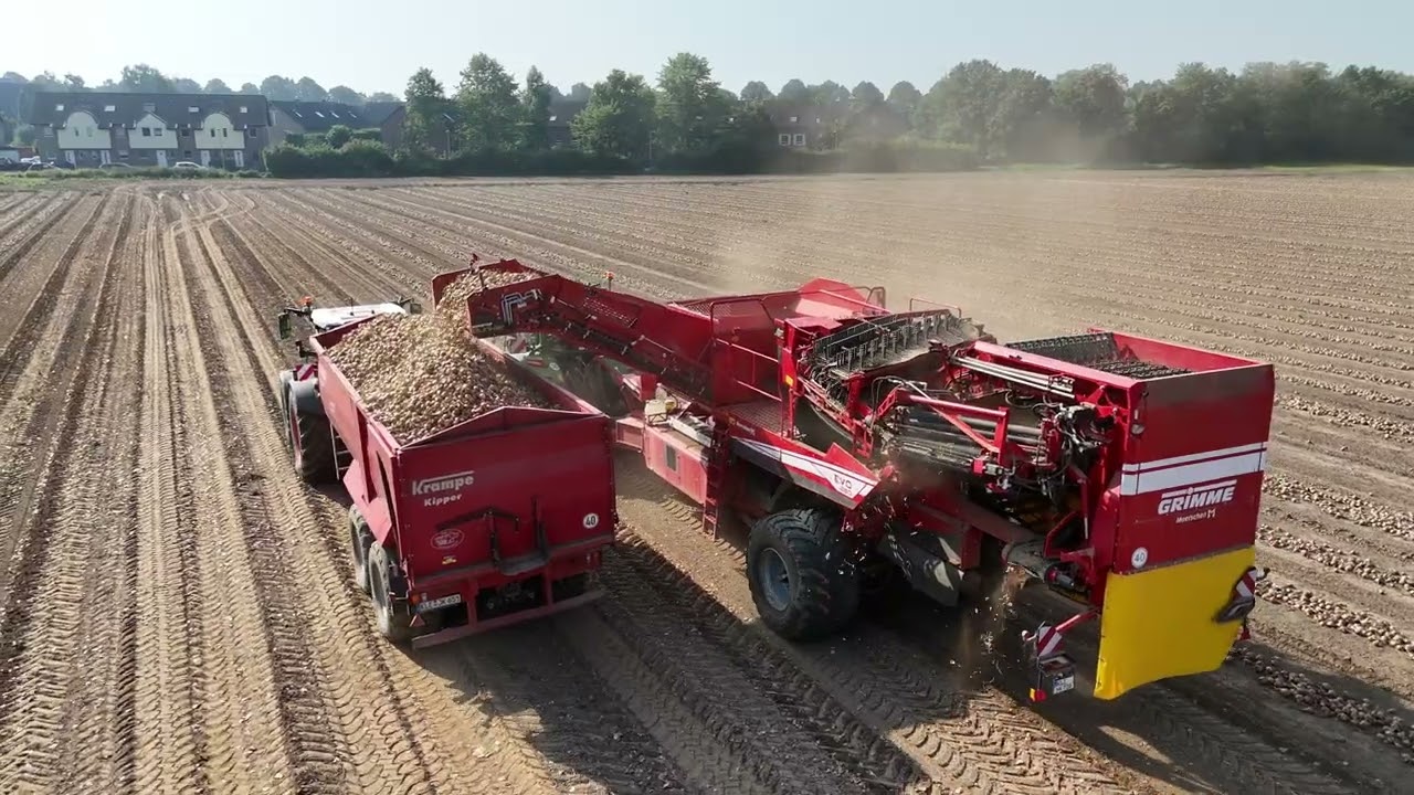 Zwiebeln Roden (Fendt 728 + Grimme EVO 280 Gen.3)