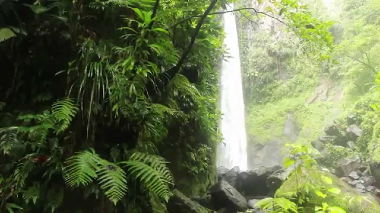 180 Days In Dominica Ep4: Off The Beaten Path