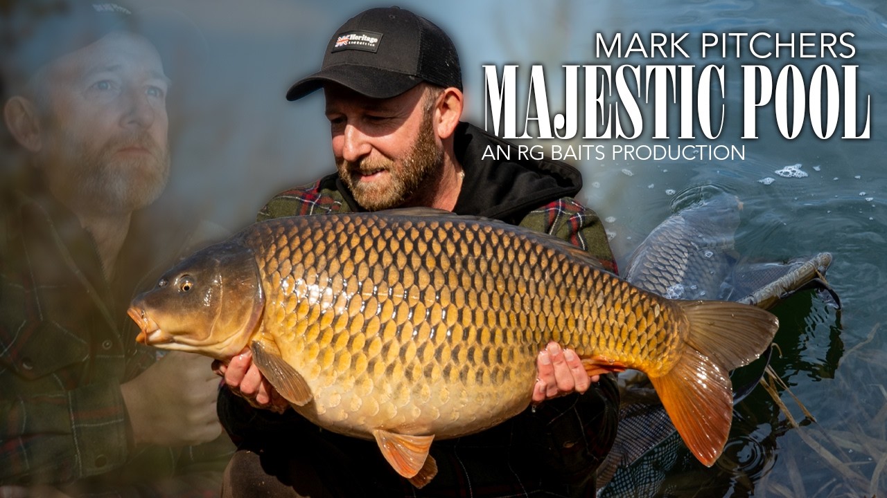 MARK PITCHERS AT MAJESTIC POOL