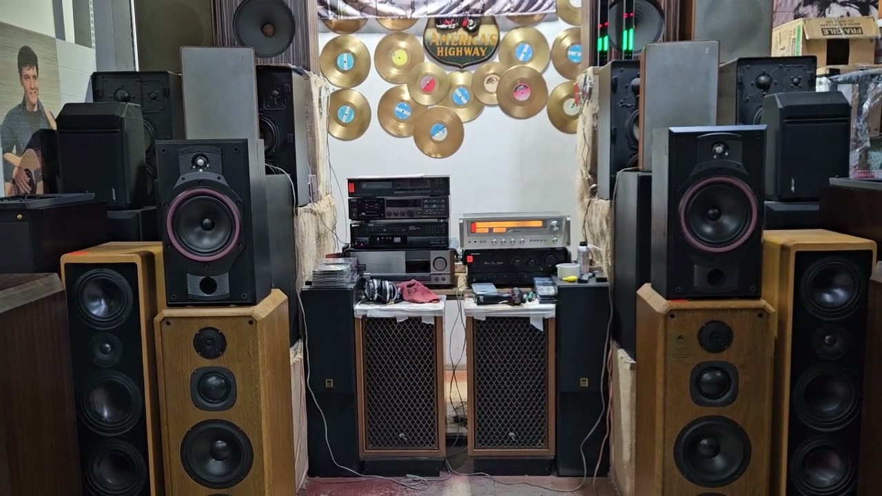 Bowers Wilkins DM 310