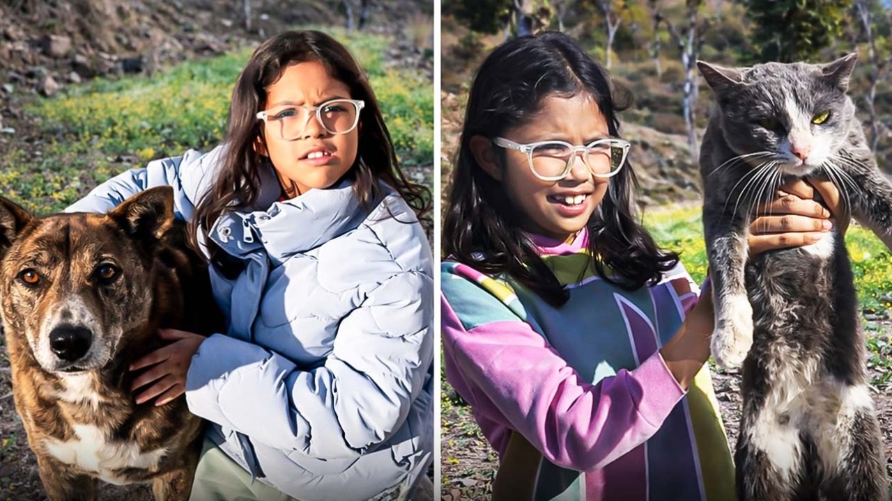 I Played with Cute Animals in the Hills 🐕|  Forest Adventure Fun, Adi Keshari Connection