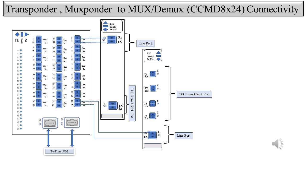 Physical Connectivity between Ciena Transponder/Muxponder to CCMD8x24  in Signal Flow of DWDM.