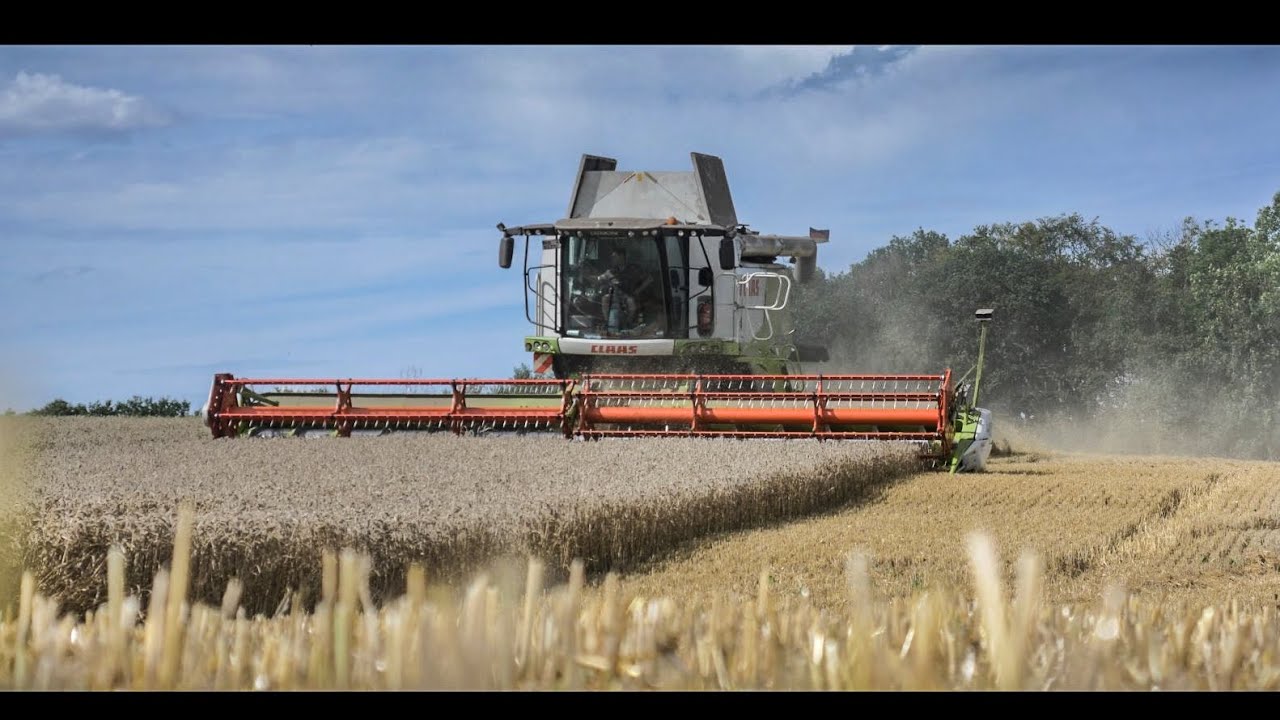 LEXION 760 TT &  3x JD 6R | Weizen Ernte | Domäne Waldeck