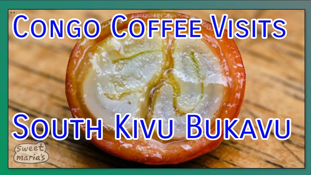 Congo Coffee Visits -South Kivu Bukavu