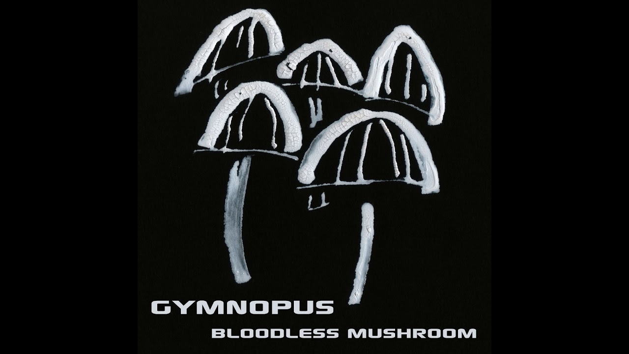 Bloodless Mushroom - Gymnopus - 01 - Preparing