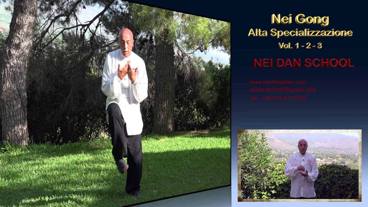 Nei Dan - Nei Gong Alta Specializzazione