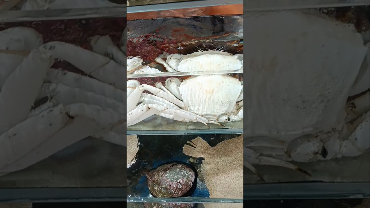 It's just my first time to see white crab. 