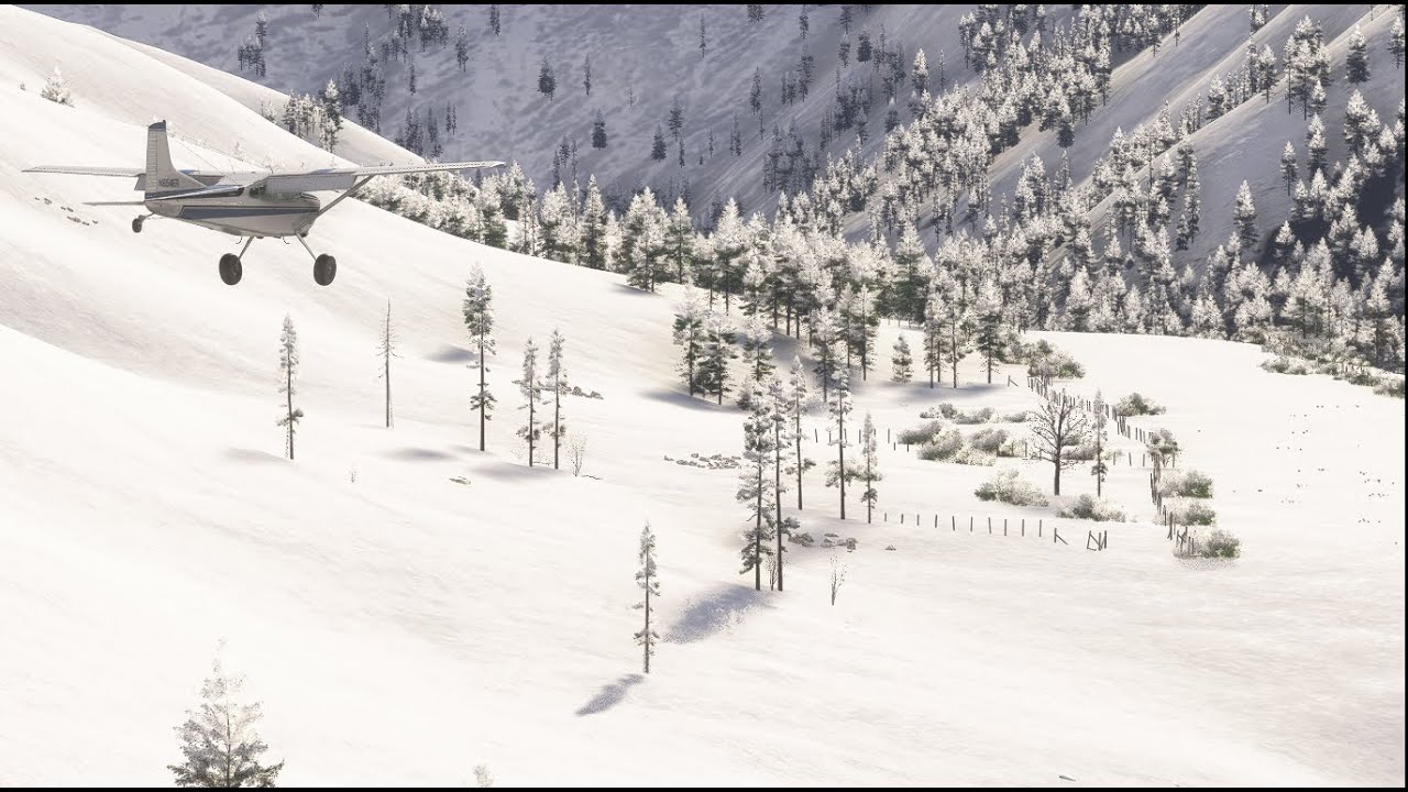 MSFS 2024 | Cessna 185 | Bush Flying