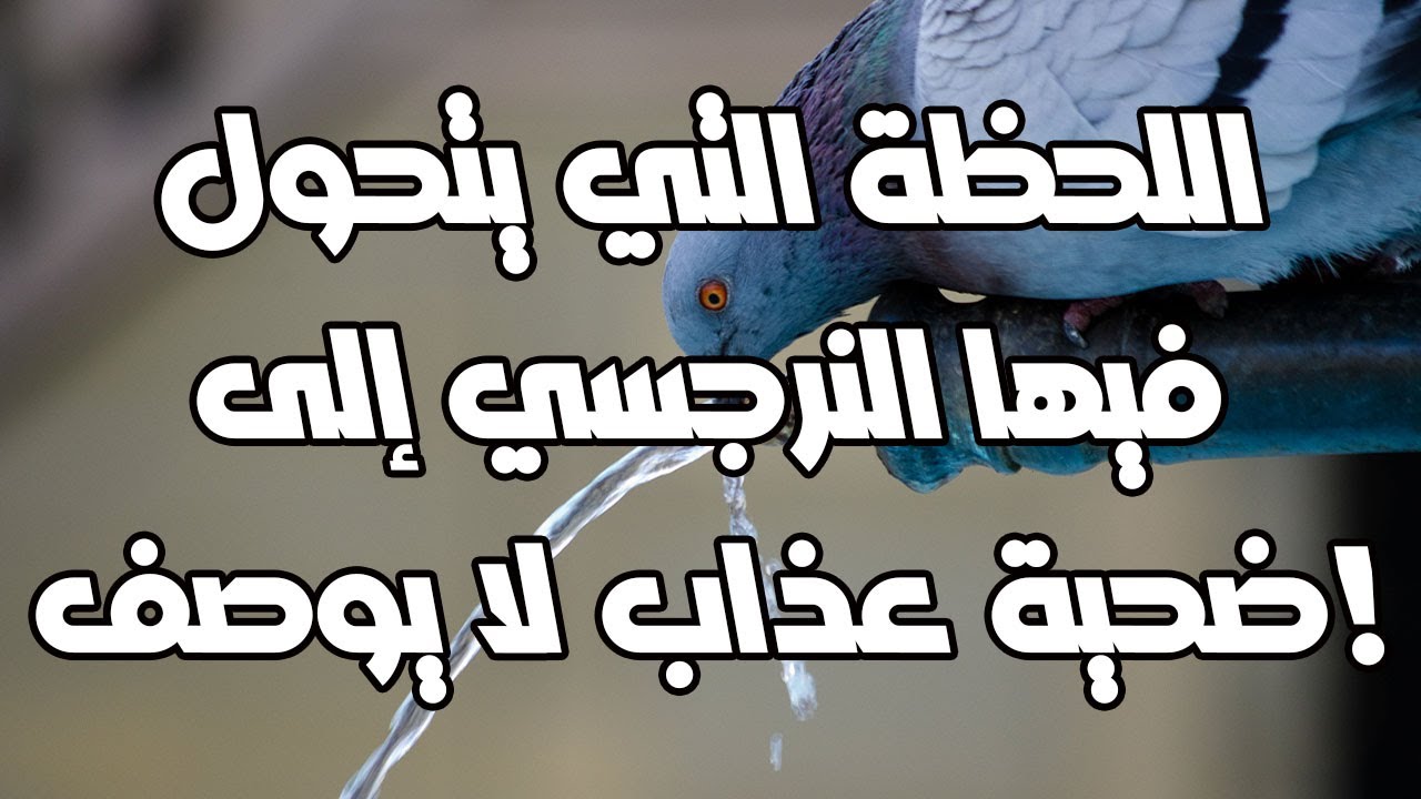 اللحظة التي يتحول فيها النرجسي إلى ضحية عذاب لا يوصف!