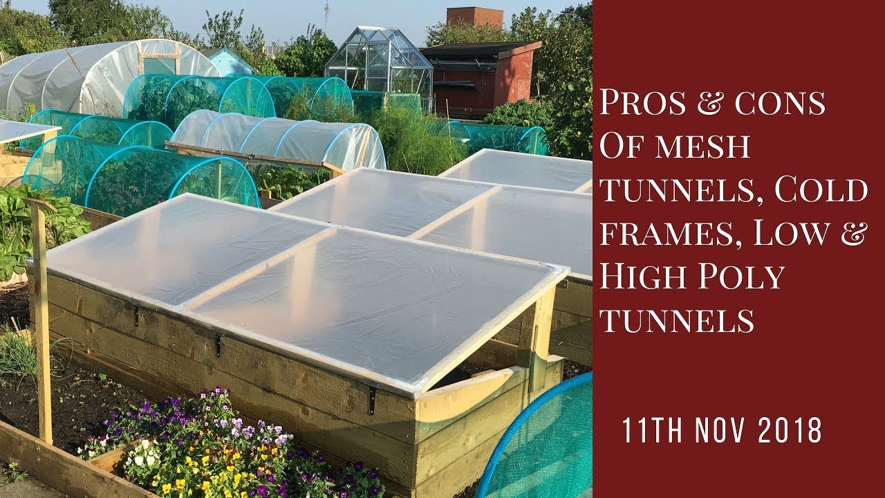 Comparing the pros and cons of: cold-frames; low and high polytunnels; greenhouses and mesh tunnels