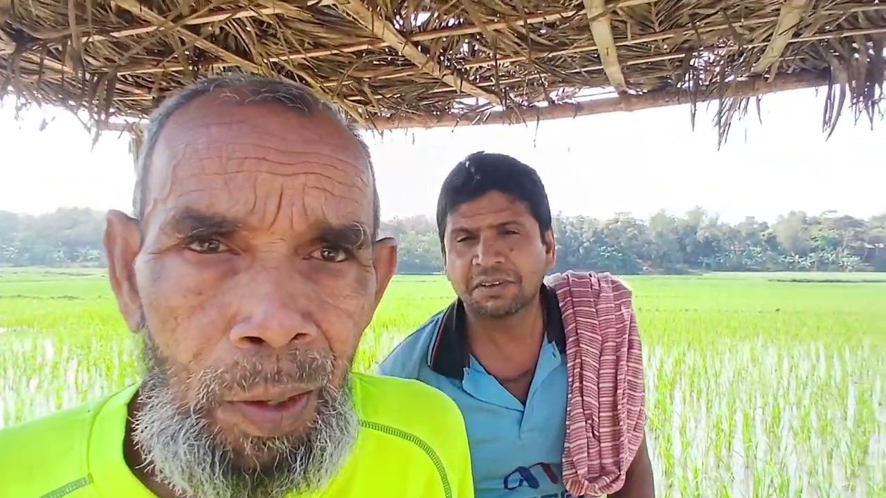 কুমার নদের নাগিরাট চরের বর্তমান অবস্থা | নদী ভাঙন, প্রকৃতি আর মানুষের জীবন