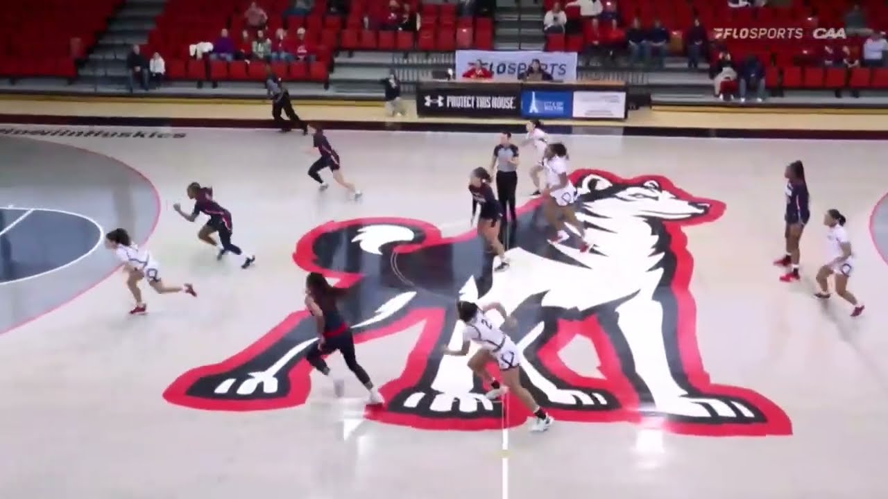 Stony Brook Women's Basketball vs Northeastern |  CAA Women's College Basketball Highlights