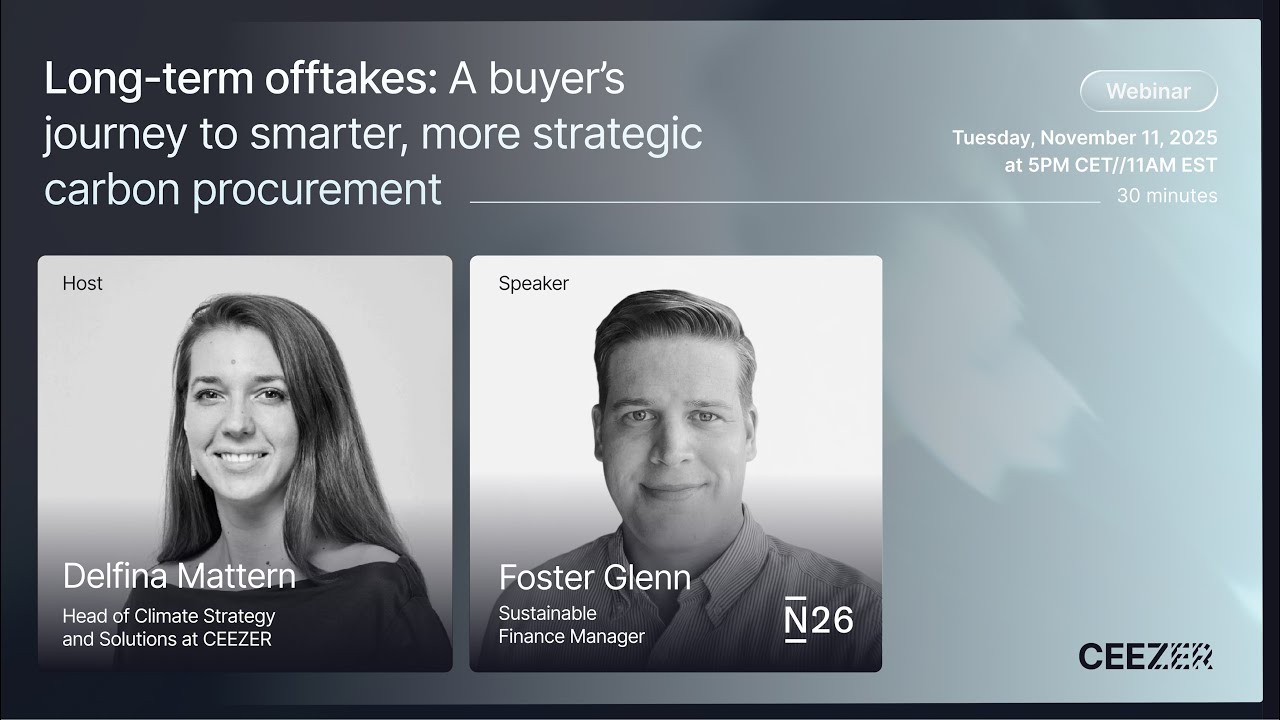 Long-term offtakes: A buyer's guide journey to smarter, more strategic carbon procurement