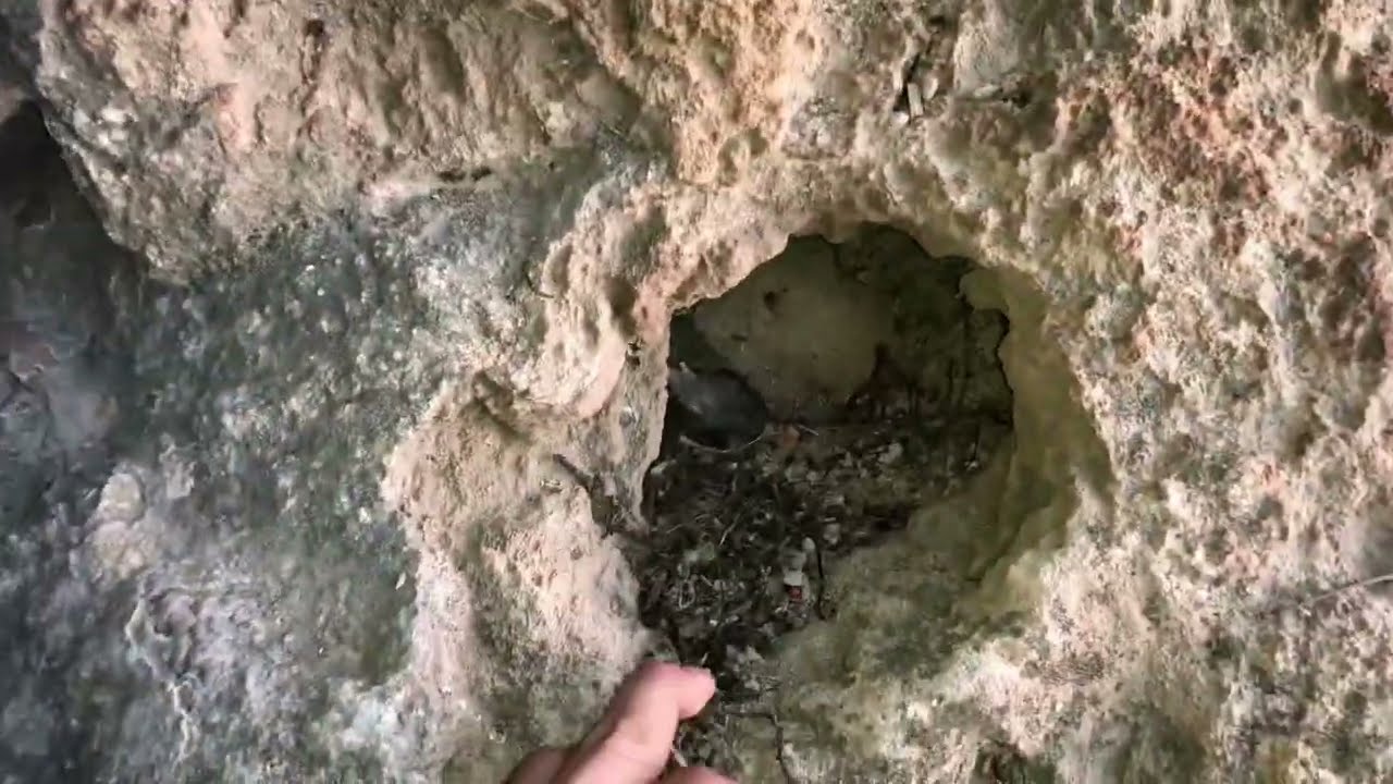 إكتشاف كهف وسط شلال /treasure hunter//A la découverte d’une grotte au milieu des chutes// كنز ذهب