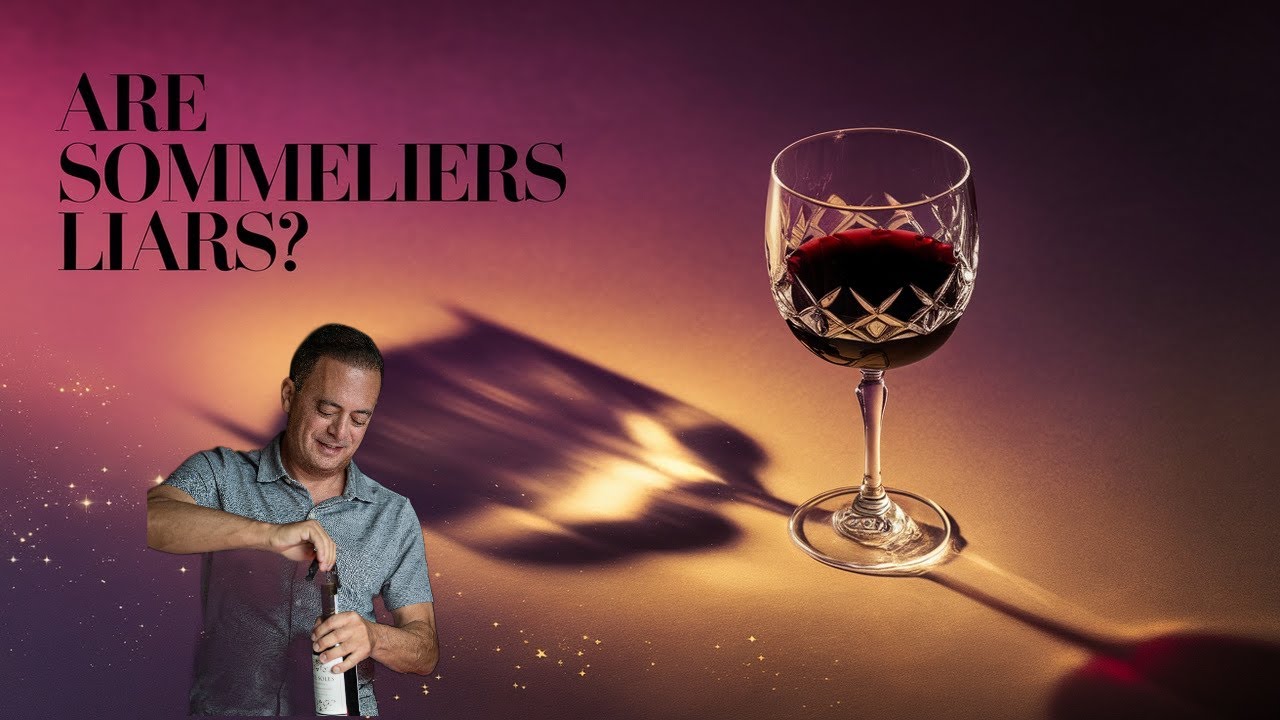 Is the whole wine industry full of baloney? The Truth About Professional Wine Training 🍷