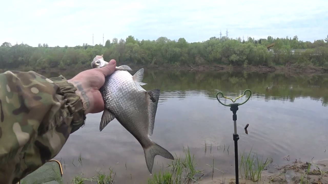 ПЕРВАЯ ВЕСЕННЯЯ РЫБАЛКА на Оке! 🎣 Новое Место для УЛОВА!