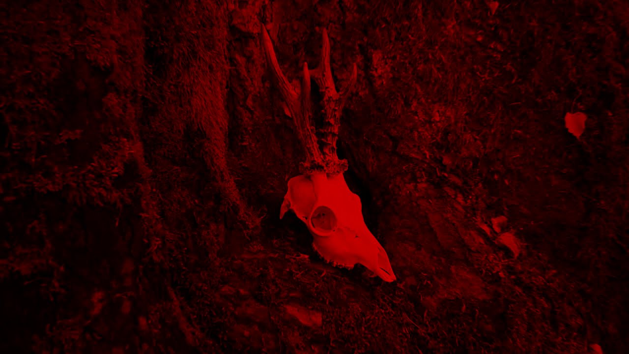 gralla - BRUXA