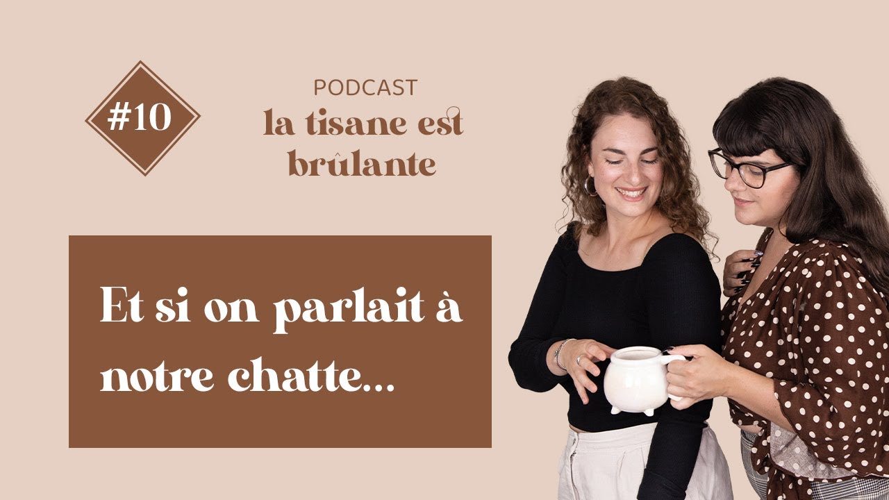 La Tisane est Brûlante #10 - Et si on parlait à notre chatte ?
