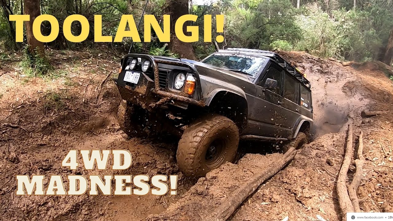 4WDING at TOOLANGI! LS1 GQ, TD/RD/TB/RB patrols! + Panel damage!