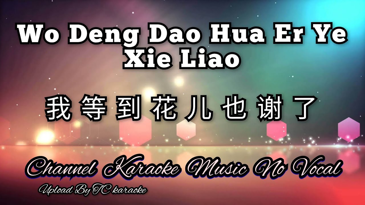 Wo Deng Dao Hua Er Ye Xie Liao 我等到花儿也谢了 karaoke mandarin no vocal