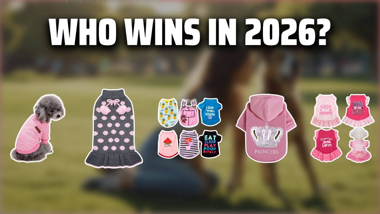 The Top 5 Best Dog Clothes in 2026 - Must Watch Before Buying!