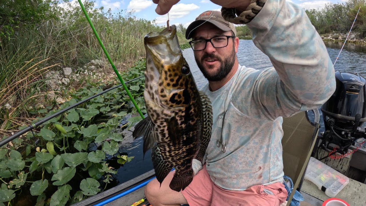 Fishing the Florida Everglades for invasive fish