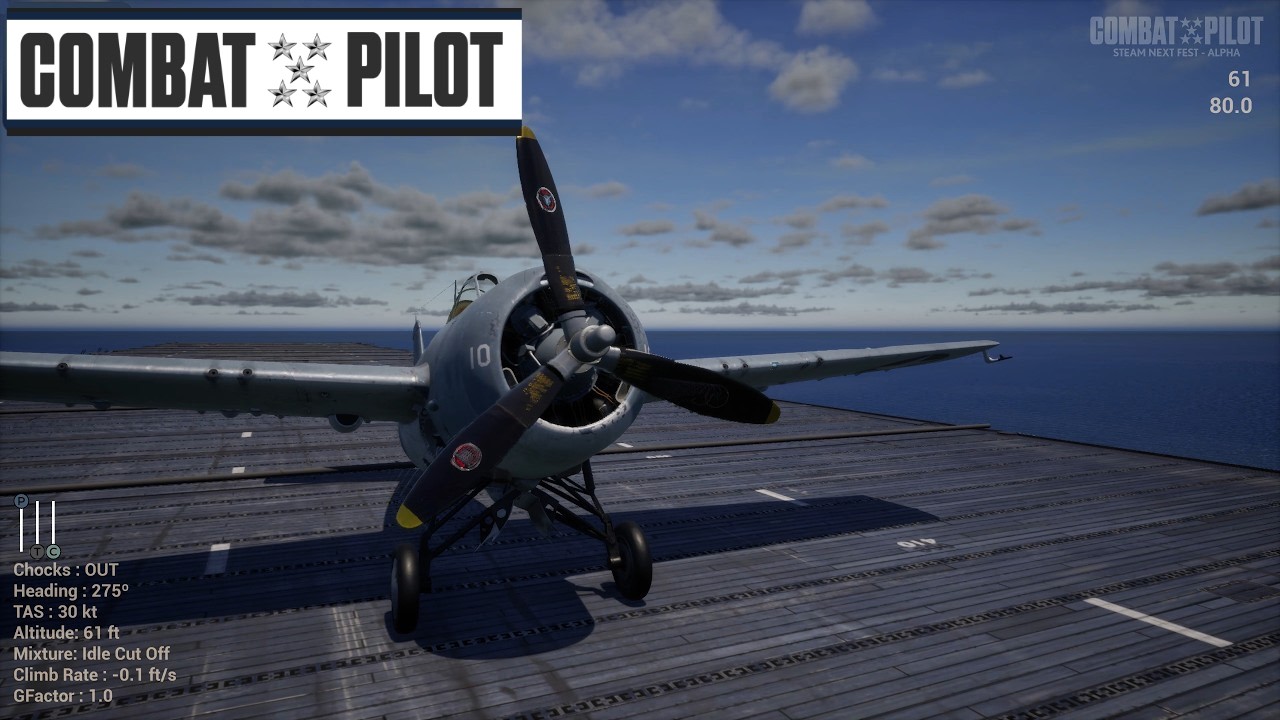 FIRST LOOK! Combat Pilot Pre-Alpha