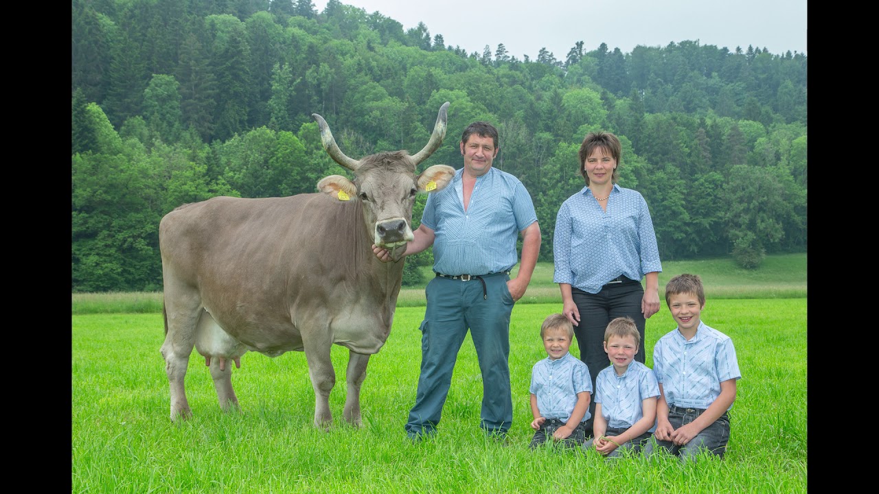 Jahresrückblick Braunvieh Schweiz 2019