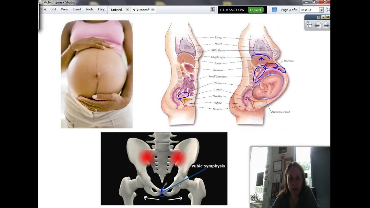 9 7 Maternal effects