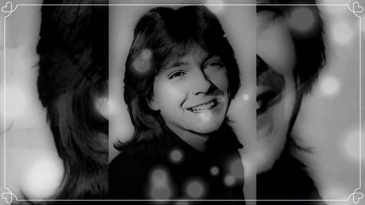 DAVID CASSIDY TRIBUTE-PRISONER(DAVID CASSIDY) DAVID’S ALBUMS