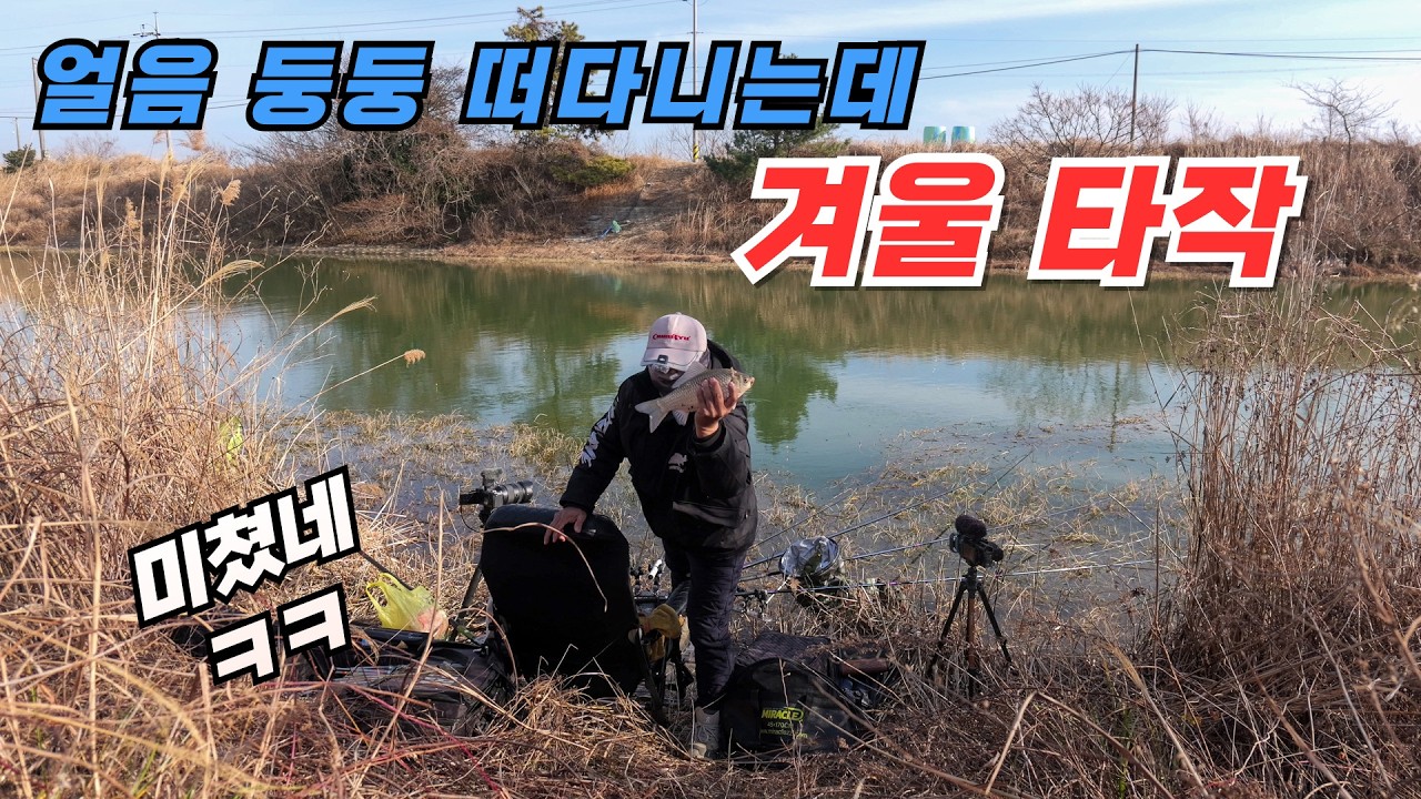 얼음 둥둥 떠다니는데 겨울 싹쓸이 타작