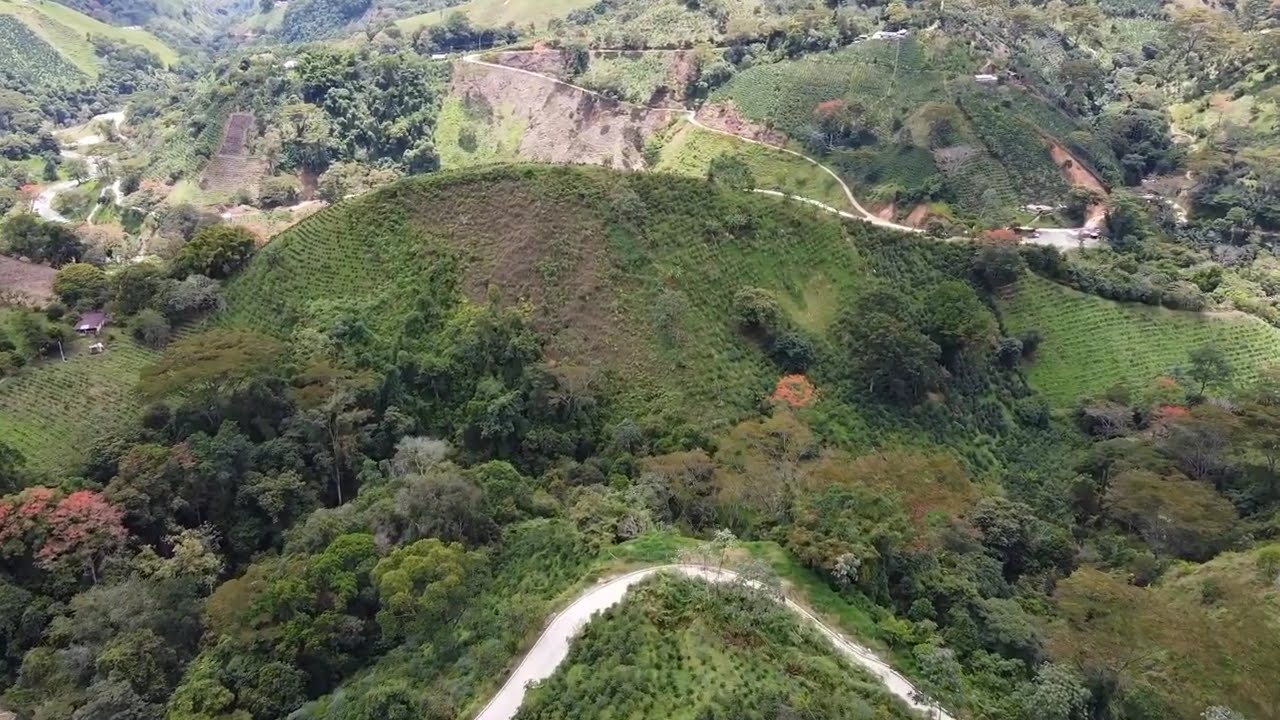 BILBAO TOLIMA