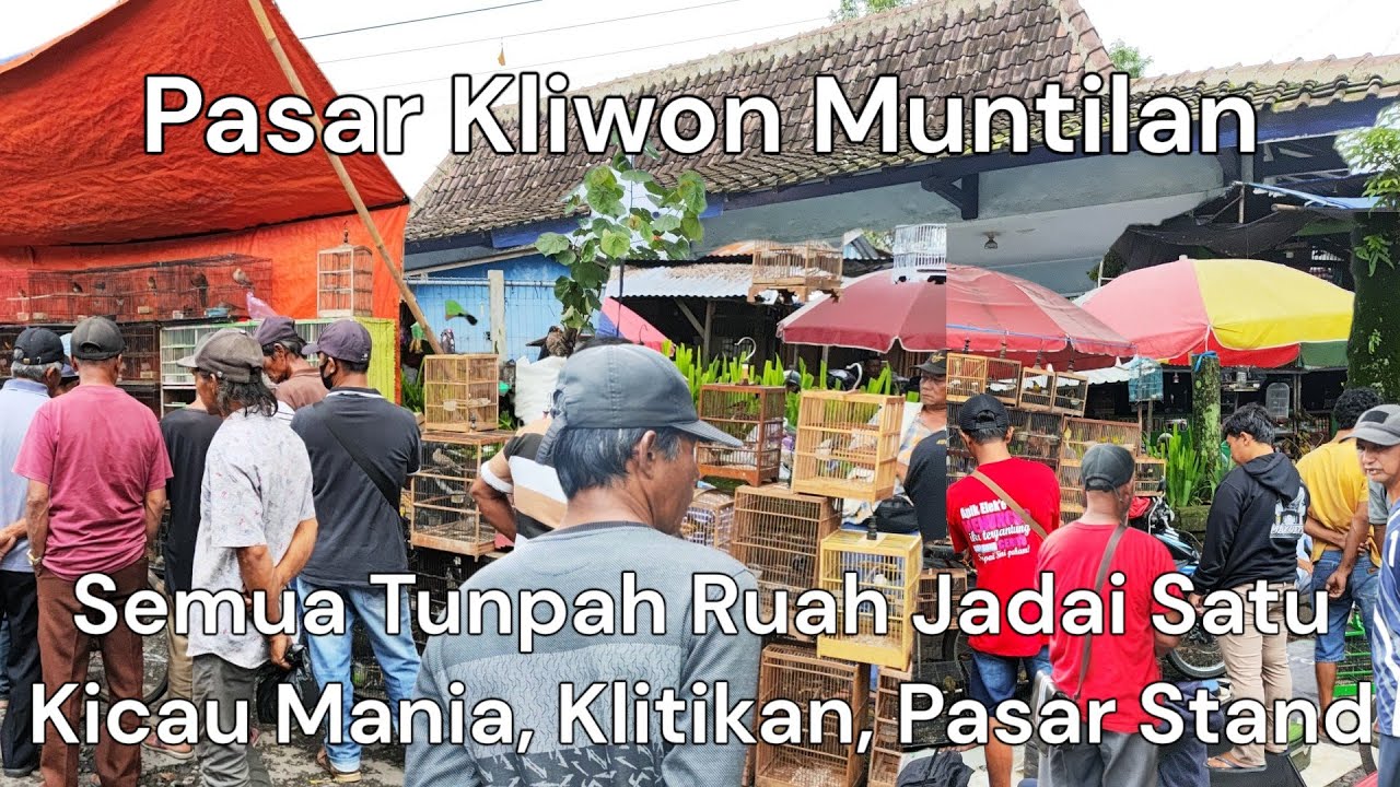 Mantap Dari Jogja Ke Pasar Kliwon Muntilan | Burung Kicau | Unggas | Merpati | Klitikan Semua Ada