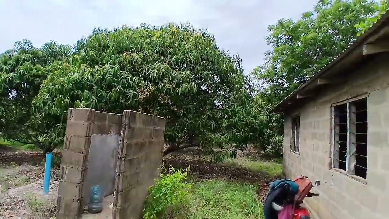 Shamba Ekari 25 ZINAUZWA Kibaha- Misufini 