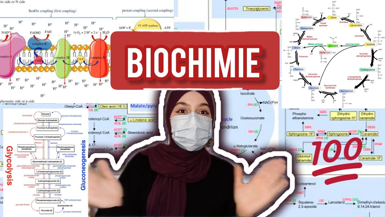 biochimie 1ère année semestere 1 أسرار تفوقي فيها ؟🤔هل أعتمد على الحفظ أو الفهم!! لن تتعبك بعد الآن
