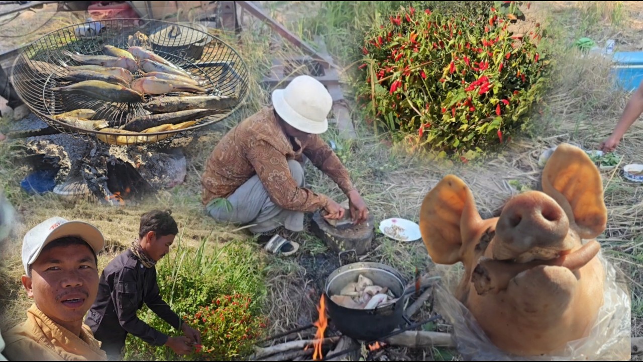Farmers sell a pig's head after harvesting rice and picking ripe red peppers