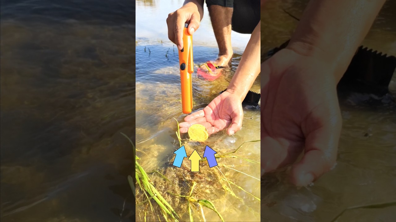 Using pinpointer gold detector finding gold medal 🏅 #pinpointermetaldetecor #findgold #viralshorts