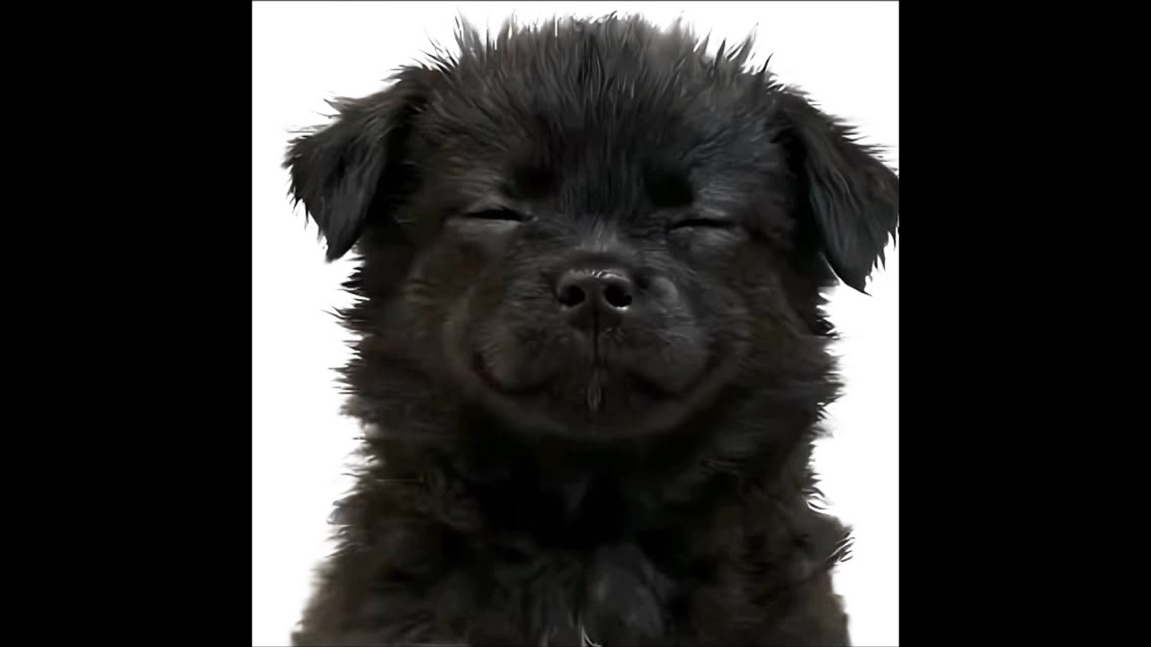 *FREE* fakemink + feng + dom corleo type beat - 