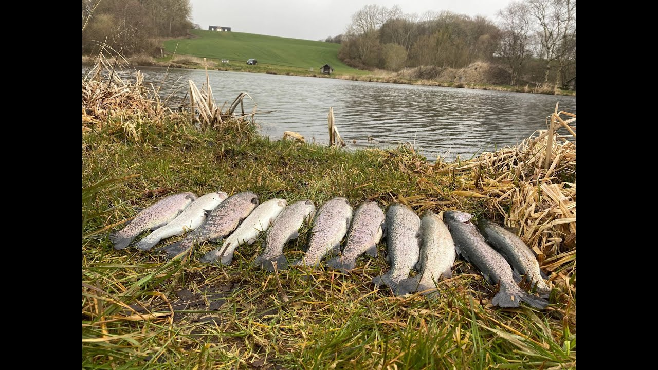 Skovhave Fiskesø GENÅBNING
