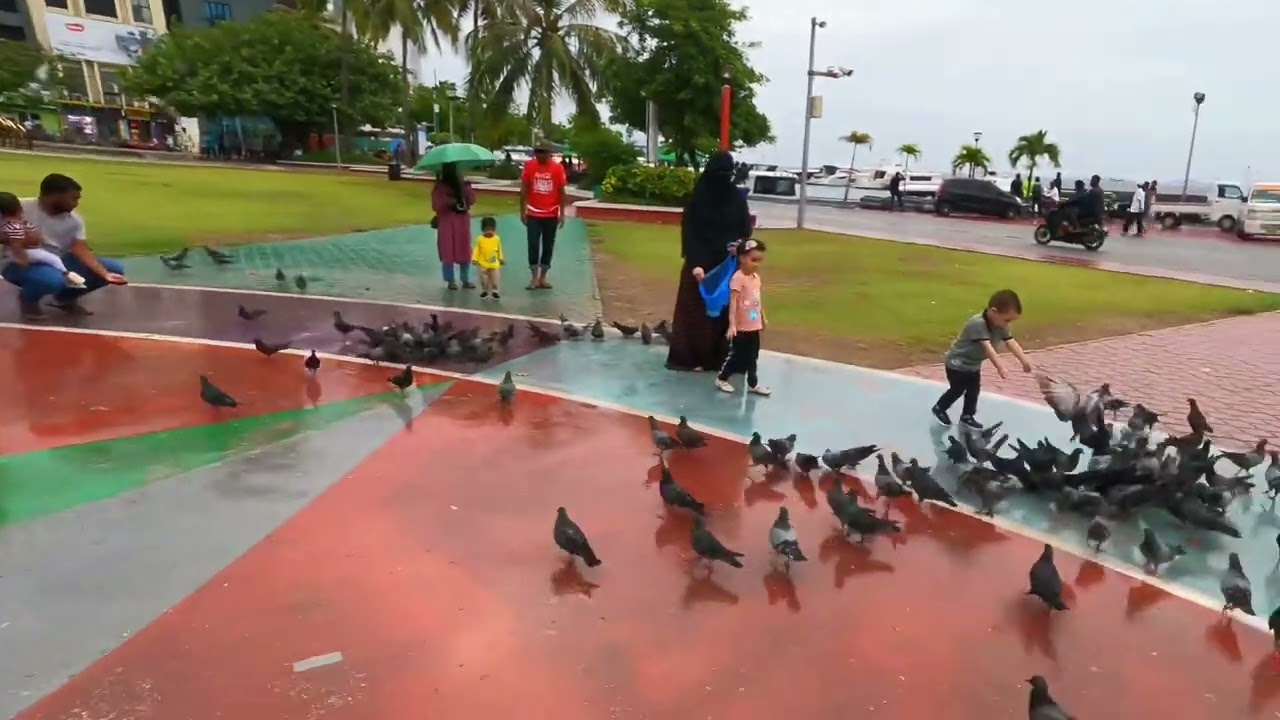 Masjid Al-Sultan Muhammad Thakurufaanu Al-Arzam