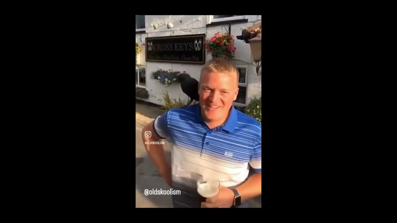 Videos I STOLE of instagram #14
